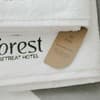Рекреационный комплекс Forest Retreat Center. Люкс двухместный Forest 9